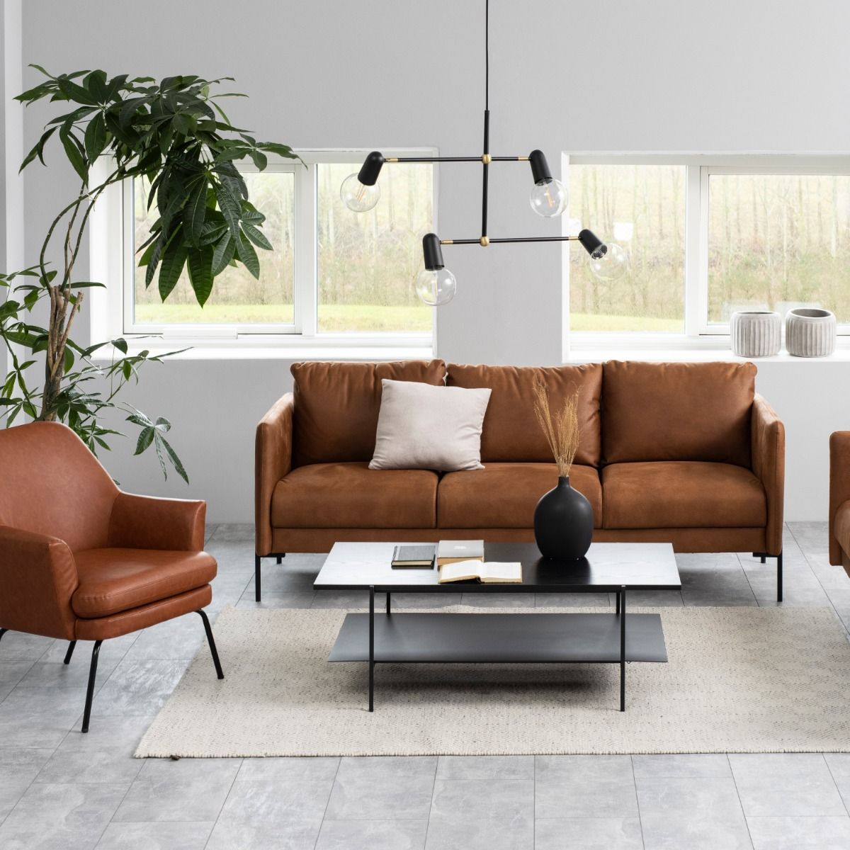 #Colour:Black Oak