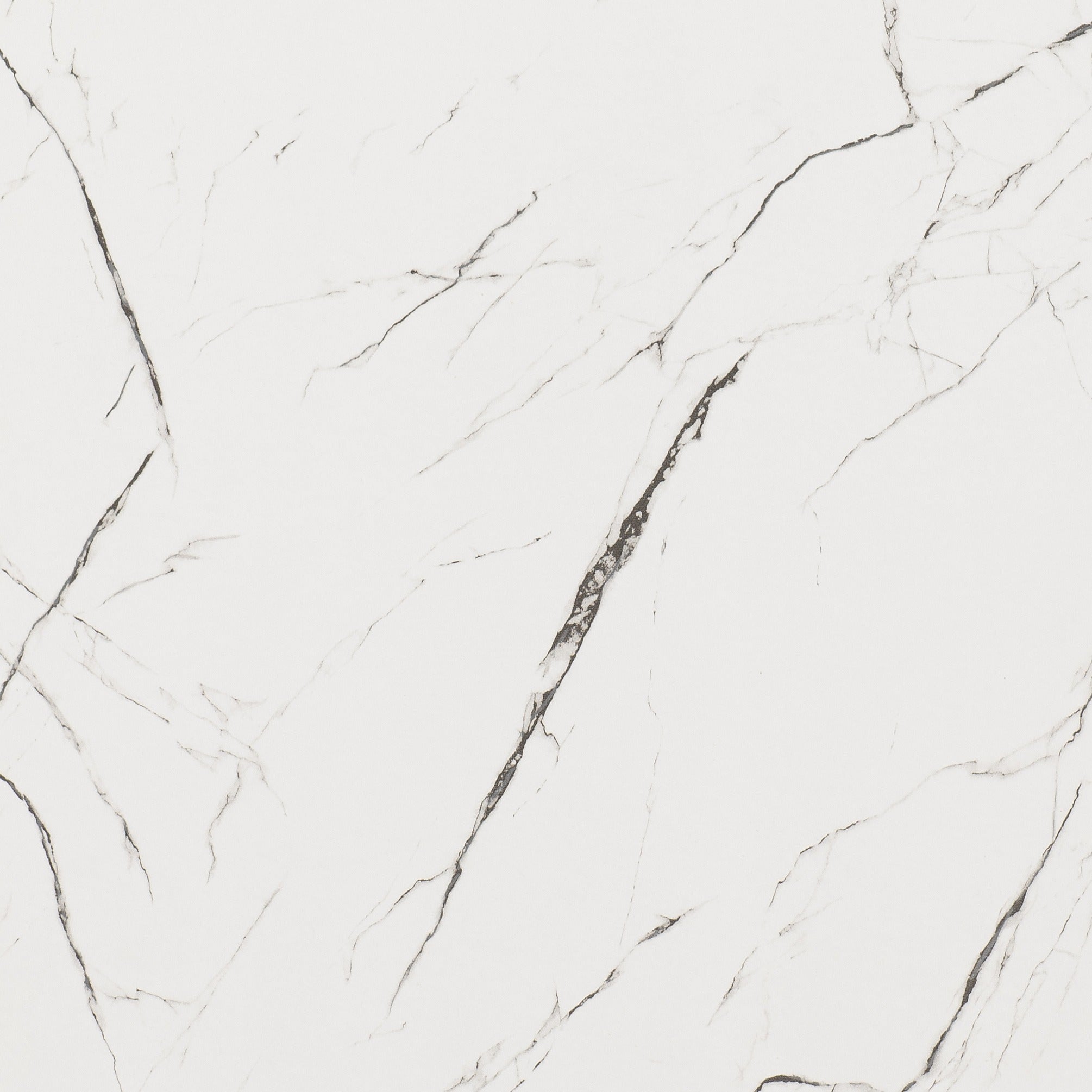 #Colour:White Marble