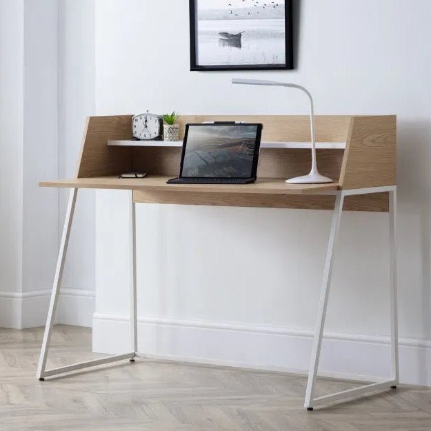 Palm Desk