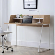 Palm Desk